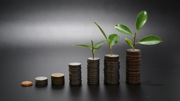 Découvrir l’approche de la banque éthique et ses avantages